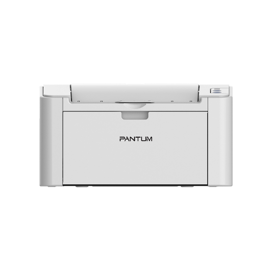 Pantum P2200 Mono laser single function printer