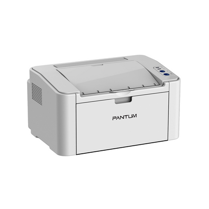 Pantum P2200 Mono laser single function printer