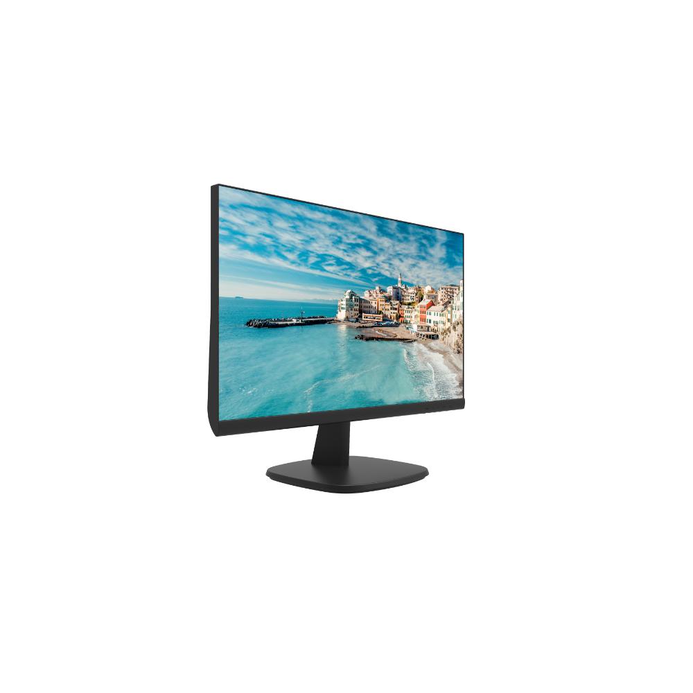 HIKVISION DS-D5024FN | 23.8" FHD Borderless Monitor, HDMI + VGA, LED Backlit, 178° Wide View