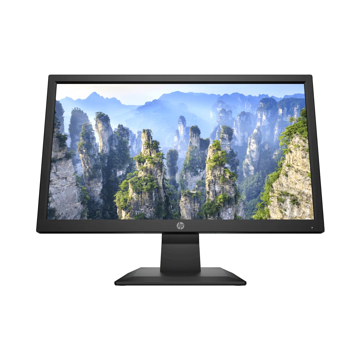 HP V20 19.5 inch HD+ Monitor