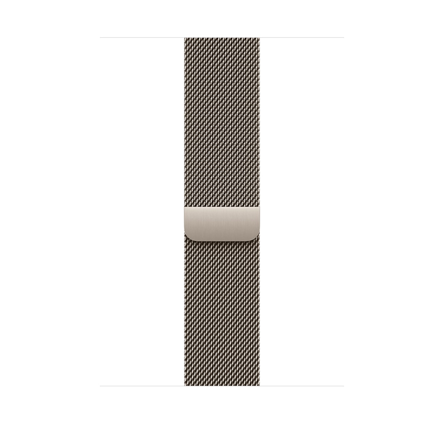 Apple Watch Series 10 | 46mm Natural Titanium Case with Milanese Loop