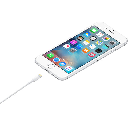 Apple Lightning to USB Cable | (2m)