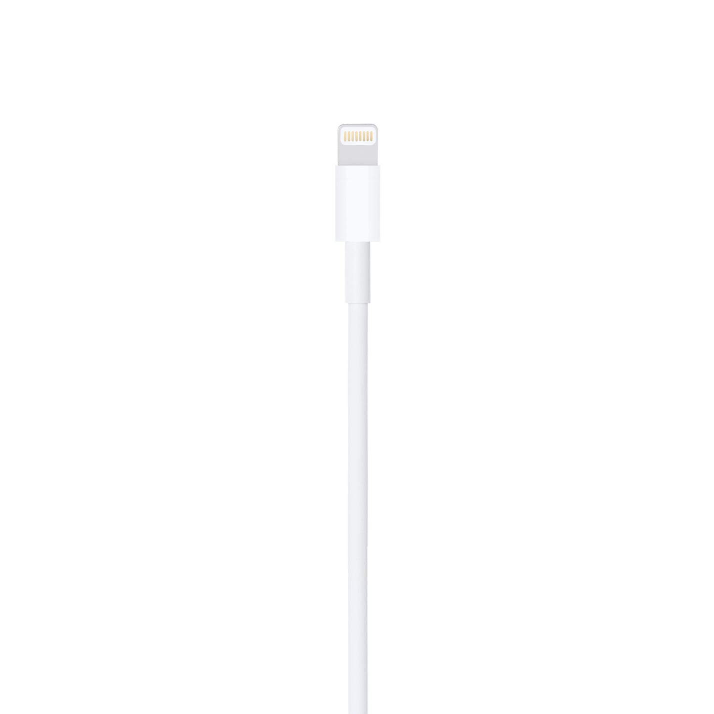 Apple Lightning to USB Cable | (2m)