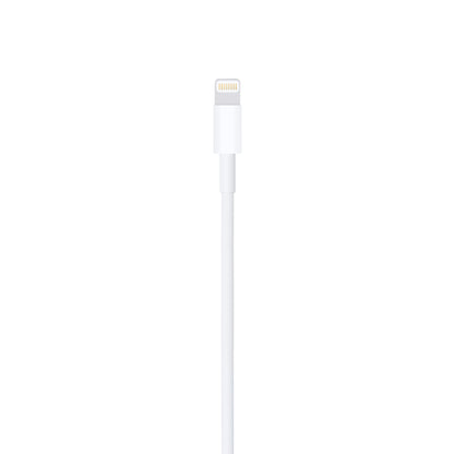 Apple Lightning to USB Cable | (2m)