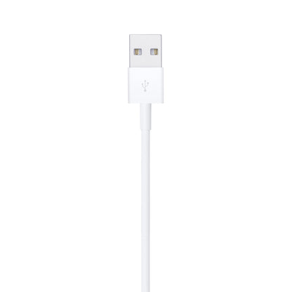 Apple Lightning to USB Cable | (2m)