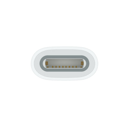 Apple USB-C to Apple Pencil Adapter