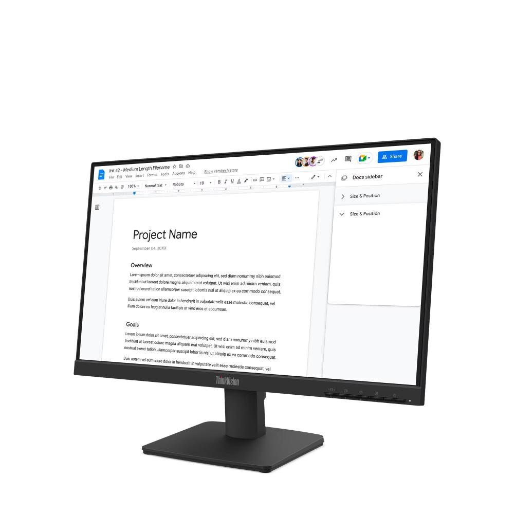 Lenovo ThinkVision S22-4e | 21.5" FHD IPS 100Hz Monitor | 99% sRGB, 1300:1 Contrast, Low Blue Light, HDMI + VGA