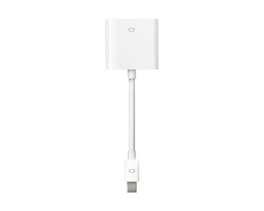 Apple Mini DisplayPort to DVI Adapter