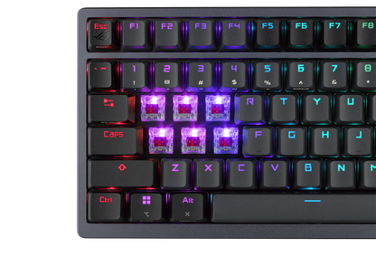 ASUS ROG Azoth | 75% Gaming Keyboard | Gasket Mount | OLED Display | ROG NX Switches | Tri-Mode Wireless | MacOS Support