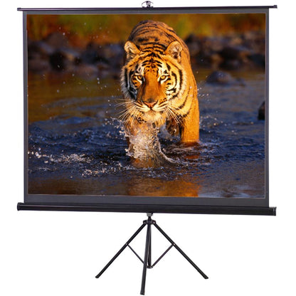 Speed-X Projector Screen 120-Inch | Tripod Portable | 6×8 Feet | 4:3 Aspect Ratio